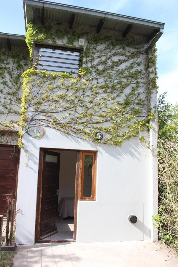 Casita Moderna Frente Al Bosque Apartment Mar del Plata Exterior photo